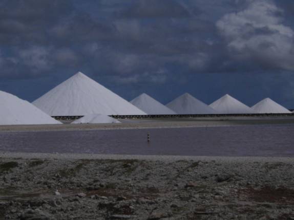 Extração de sal em South Pier, no sul de Bonaire